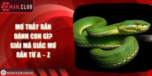 mơ thấy rắn